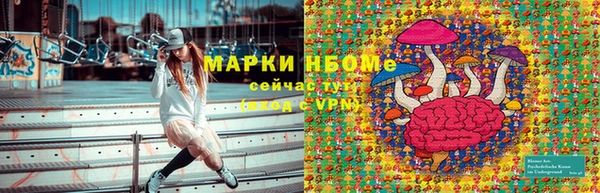 сатива Приозерск