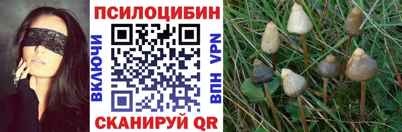 Галлюциногенные грибы GOLDEN TEACHER  Нарьян-Мар 