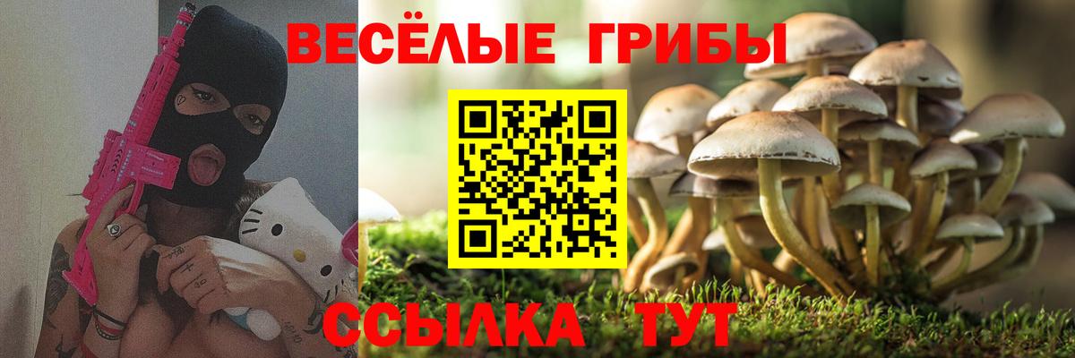Галлюциногенные грибы ЛСД  Вход с VPN  Нарьян-Мар  Псилоцибиновые грибы Psilocybine cubensis 