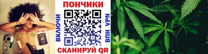 Каннабис гибрид  Нарьян-Мар 